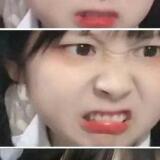 Profilfoto von Duc Anh Nguyen