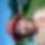 Profilbild von Erika Justen