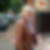 Profilbild von Cornelia Roth