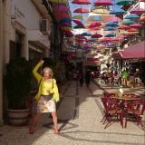 Profilfoto von Marianne Schreiner