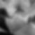 Profilbild von Paul Villanueva