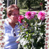 Profilfoto von Birgit Herrmann