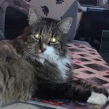 Profilfoto von Jörg Vogel