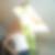 Profilbild von Jorinna Froese