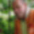 Profilbild von Wolfgang Hellrung