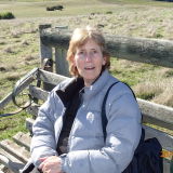 Profilfoto von Angelika Hall