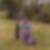Profilbild von Daniela Frisby