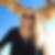 Profilbild von Sabrina Dahlke