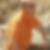 Profilbild von Stephen Marcus