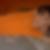 Profilbild von Anastasia Xanthopoulos