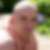 Profilbild von Peter Bux