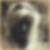 Profilbild von Ina Giegler