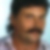 Profilbild von Harald Schatz