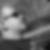 Profilbild von Wolfgang Ott