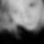 Profilbild von Elisa Hartwig