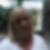 Profilbild von Roswitha Blume