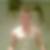 Profilbild von Dennis Brohm