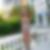 Profilbild von Jacqueline He