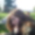 Profilbild von Sandra Hentrich