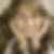 Profilbild von Babette Stefan