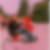 Profilbild von Andreas Brand
