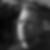 Profilbild von Rene Bauhaus