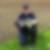 Profilbild von Peter Legrand