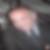 Profilbild von Mirko Stanojevic