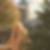 Profilbild von Anja Preuss