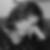 Profilbild von Nicole Esser