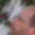 Profilbild von Matthias Laatsch