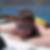 Profilbild von Martin Schmidt