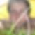 Profilbild von Christian Herrmann