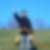 Profilbild von Verena Heideck