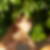 Profilbild von Martina Faust