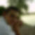 Profilbild von Andreas Drengwitz