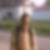 Profilbild von Marco Gottheil