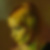 Profilbild von Ramona Siebert
