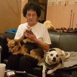 Profilfoto Romana Groß Profilfoto von Romana Groß