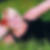 Profilbild von Stefanie Golle