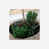 Profilfoto Manuela Ulrich Profilfoto von Manuela Ulrich