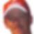 Profilbild von Mario Hannappel