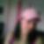 Profilbild von Sabrina Hilbertz