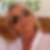 Profilbild von Susanne Enders