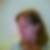 Profilbild von Tina Berkovits