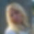 Profilbild von Patricia Savelsberg