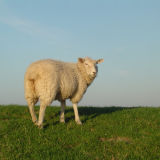 Profilfoto von Barbara Butte