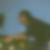 Profilbild von Serkan Kilinc