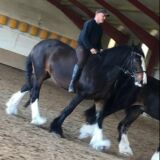 Profilfoto von Joerg Hinkel