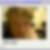 Profilbild von Wilfried Obst